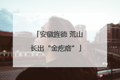安徽旌德 荒山长出“金疙瘩”