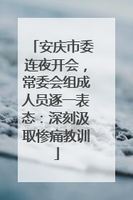 安庆市委连夜开会，常委会组成人员逐一表态：深刻汲取惨痛教训