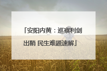 安阳内黄：巡察利剑出鞘 民生难题速解
