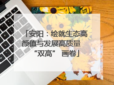安阳：绘就生态高颜值与发展高质量 “双高” 画卷