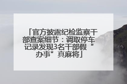 官方披露纪检监察干部查案细节：调取停车记录发现3名干部假“办事”真麻将