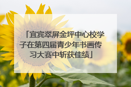 宜宾翠屏金坪中心校学子在第四届青少年书画传习大赛中斩获佳绩