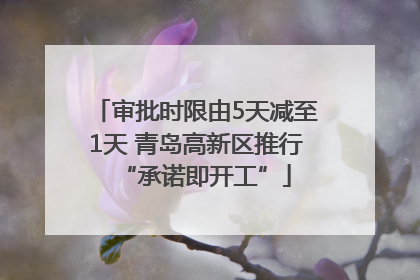 审批时限由5天减至1天 青岛高新区推行“承诺即开工”