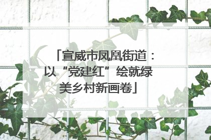 宣威市凤凰街道：以“党建红”绘就绿美乡村新画卷