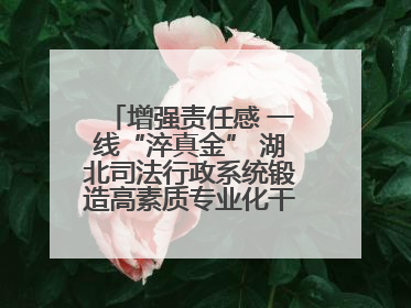 增强责任感 一线“淬真金” 湖北司法行政系统锻造高素质专业化干警队伍