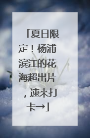 夏日限定！杨浦滨江的花海超出片，速来打卡→