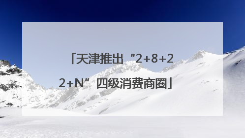 天津推出“2+8+22+N”四级消费商圈
