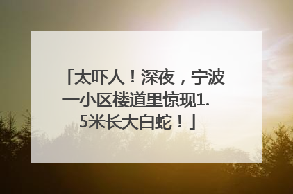 太吓人！深夜，宁波一小区楼道里惊现1.5米长大白蛇！