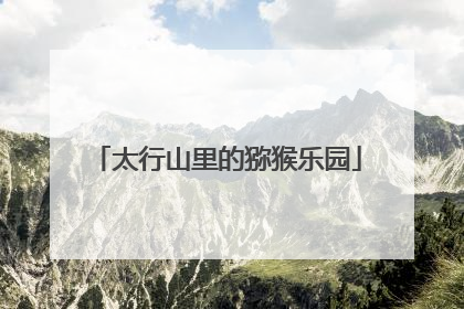 太行山里的猕猴乐园