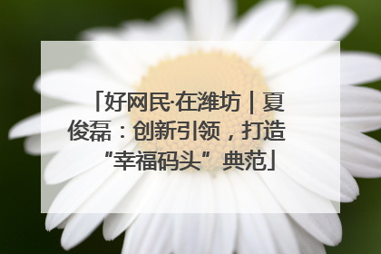 好网民·在潍坊｜夏俊磊：创新引领，打造“幸福码头”典范