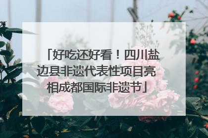 好吃还好看！四川盐边县非遗代表性项目亮相成都国际非遗节