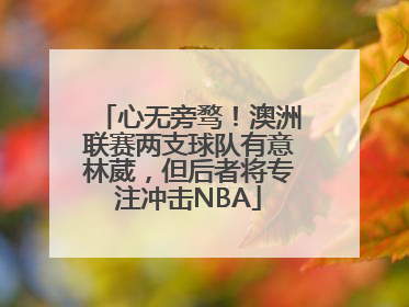 心无旁骛！澳洲联赛两支球队有意林葳，但后者将专注冲击NBA