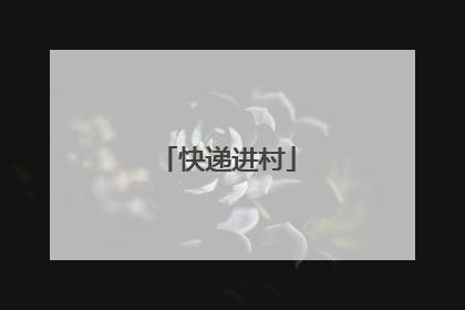 快递进村