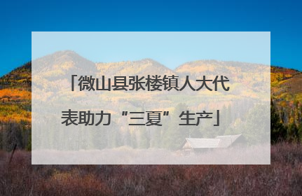 微山县张楼镇人大代表助力“三夏”生产