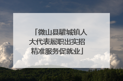 微山县驩城镇人大代表履职出实招精准服务促就业