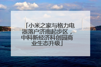 小米之家与格力电器落户济南起步区，中科新经济科创园商业生态升级