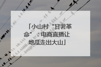 小山村“甘薯革命”：电商直播让地瓜走出大山