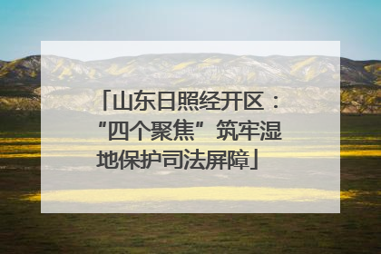 山东日照经开区：“四个聚焦”筑牢湿地保护司法屏障