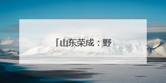 山东荣成：野生海参采捕忙