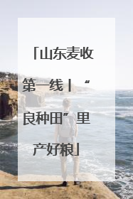 山东麦收第一线丨“良种田”里产好粮