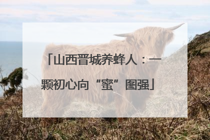 山西晋城养蜂人：一颗初心向“蜜”图强