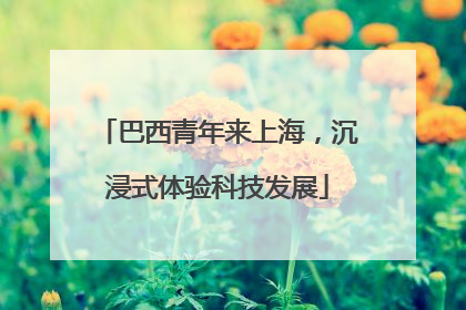 巴西青年来上海，沉浸式体验科技发展