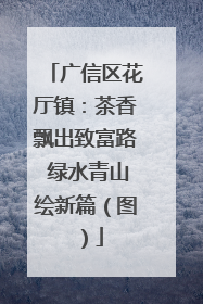 广信区花厅镇：茶香飘出致富路 绿水青山绘新篇（图）