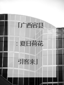 广西容县：夏日荷花引客来