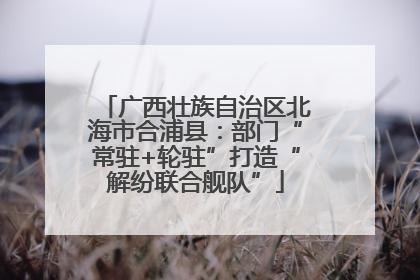 广西壮族自治区北海市合浦县：部门“常驻+轮驻”打造“解纷联合舰队”