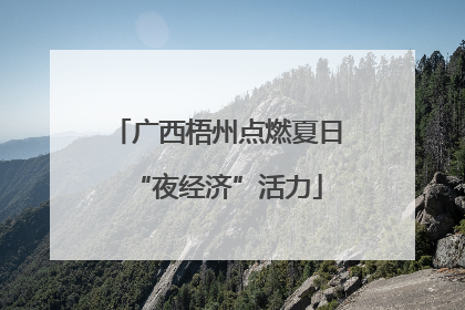 广西梧州点燃夏日“夜经济”活力
