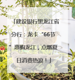 建设银行黑龙江省分行：龙卡“66节”惠购龙江，点燃夏日消费热浪！