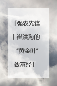 强农先锋丨崔洪海的“黄金叶”致富经