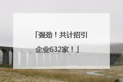 强劲！共计招引企业632家！
