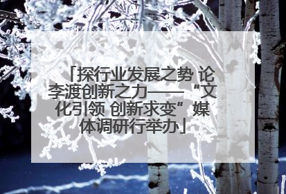 探行业发展之势 论李渡创新之力——“文化引领 创新求变”媒体调研行举办