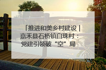 推进和美乡村建设｜嘉禾县石桥镇白珠村：党建引领破“空”局 乡贤聚力绘就新图景