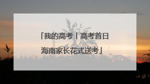 我的高考丨高考首日 海南家长花式送考