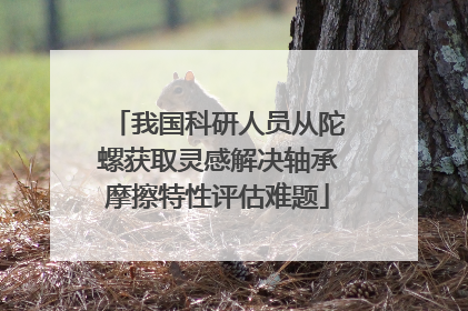 我国科研人员从陀螺获取灵感解决轴承摩擦特性评估难题