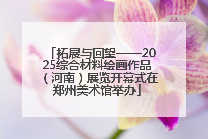 拓展与回望——2025综合材料绘画作品（河南）展览开幕式在郑州美术馆举办