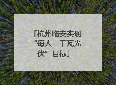 杭州临安实现“每人一千瓦光伏”目标
