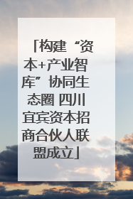 构建“资本+产业智库”协同生态圈 四川宜宾资本招商合伙人联盟成立
