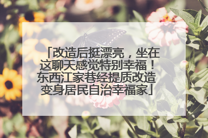 改造后挺漂亮，坐在这聊天感觉特别幸福！东西江家巷经提质改造变身居民自治幸福家