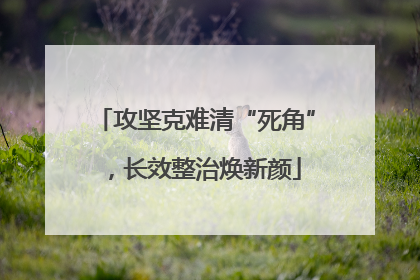 攻坚克难清“死角”，长效整治焕新颜