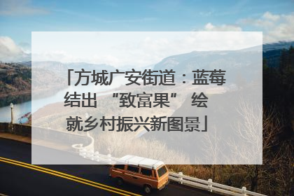 方城广安街道：蓝莓结出 “致富果” 绘就乡村振兴新图景