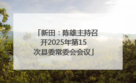 新田：陈雄主持召开2025年第15次县委常委会会议