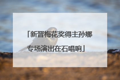 新晋梅花奖得主孙娜专场演出在石唱响