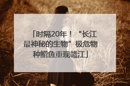 时隔20年！“长江最神秘的生物”极危物种鳤鱼重现赣江