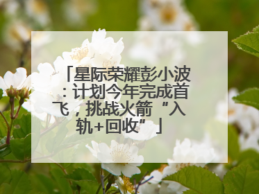 星际荣耀彭小波：计划今年完成首飞，挑战火箭“入轨+回收”