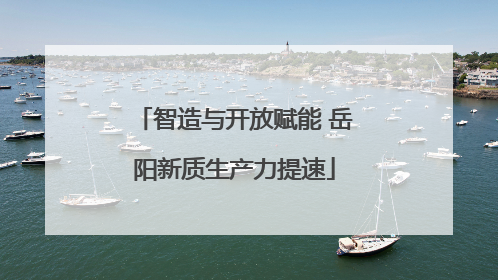 智造与开放赋能 岳阳新质生产力提速