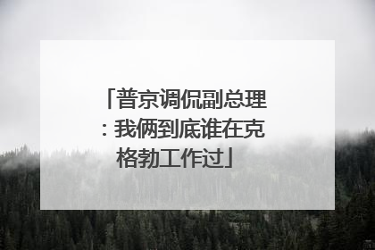 普京调侃副总理：我俩到底谁在克格勃工作过