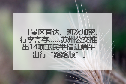 景区直达、班次加密、行李寄存……苏州公交推出14项惠民举措让端午出行“路路顺”